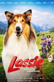 Lassie Nowe przygody online